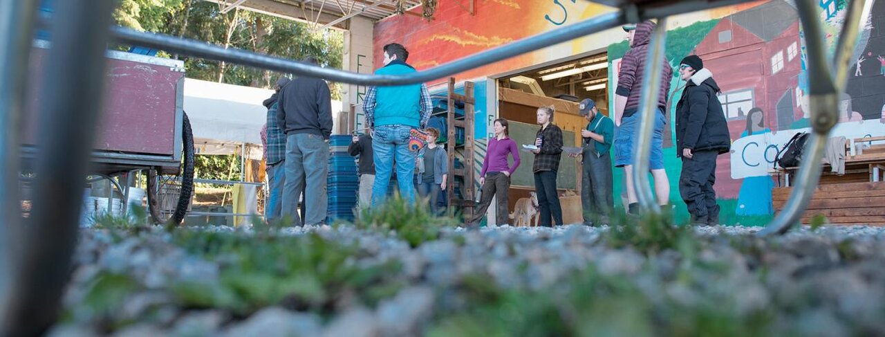 شهرداریها در خط مقدم امنیت غذایی؛ تجربه موفق جهان از آمستردام تا بوگوتا