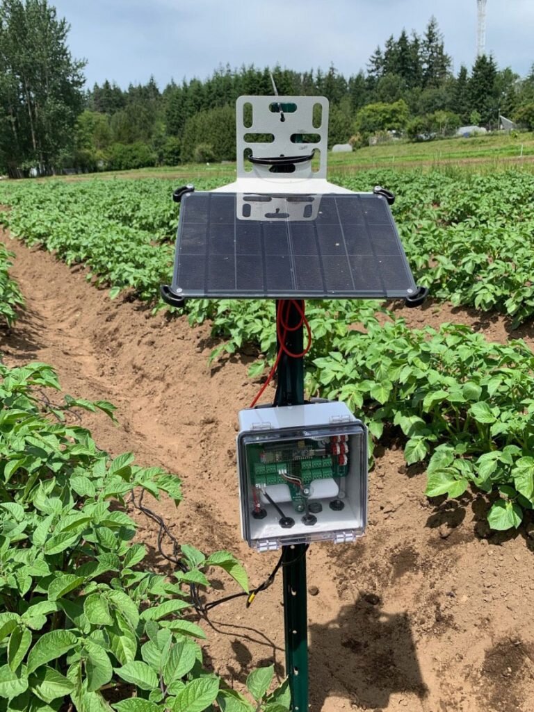 شهرداری‌ها در خط مقدم امنیت غذایی؛ تجربه موفق جهان از آمستردام تا بوگوتا