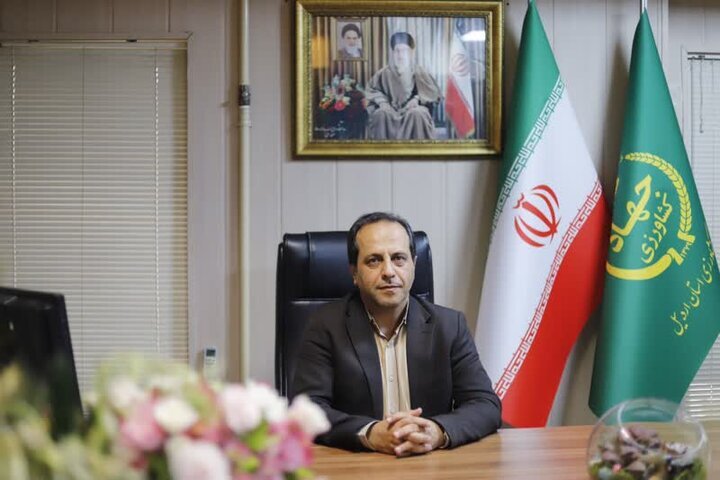 صدور مجوز برای ۱۷ واحد فرآوری سیب‌زمینی در اردبیل