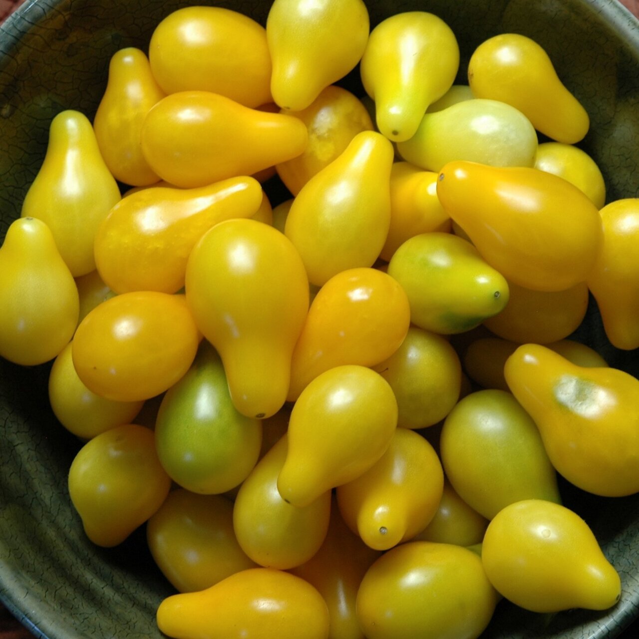 گوجه گلابی با طعمی شیرین + شکل قطره‌ای و راهنمای کشت در خانه
