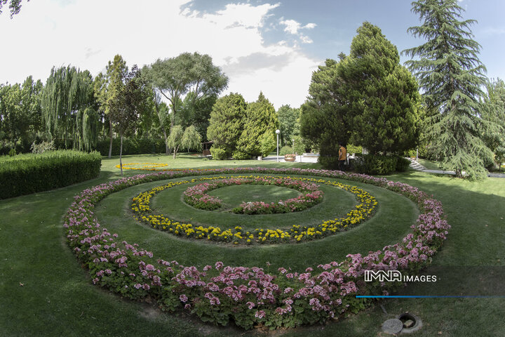 ریشه‌های سبز؛ زیربنای تاب‌آوری شهرها