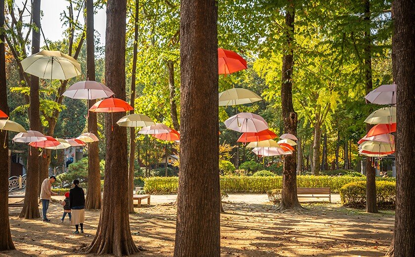 وقتی رنگ و نور، درمان میشوند