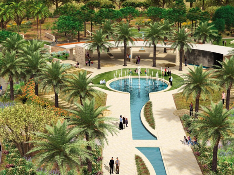 وقتی رنگ و نور، درمان می‌شوند