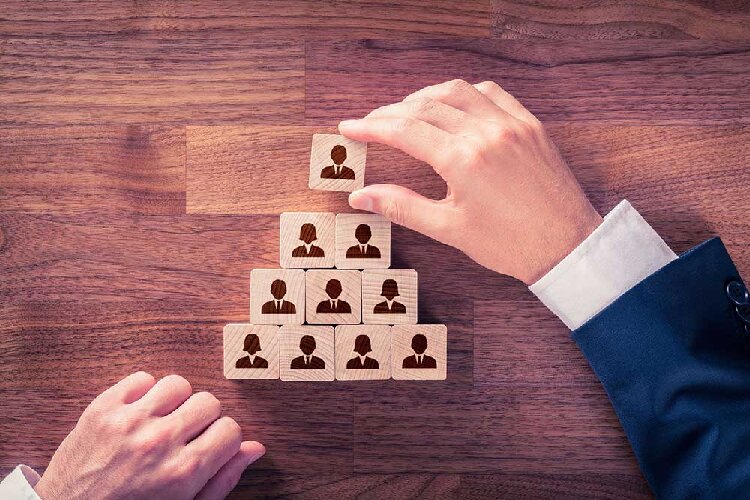 نقش شرکت تامین نیروی انسانی در رشد و توسعه سازمانها