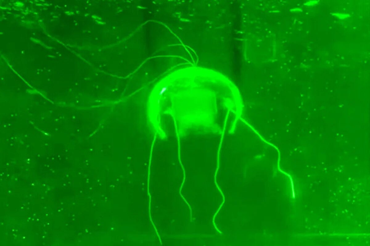 چین از ربات عروس دریایی رونمایی کرد