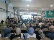 نخستین جشنواره برداشت کیوی در رودسر برگزار شد