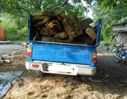 کشف ۳ هزار کیلوگرم چوب قاچاق جنگلی در محمودآباد