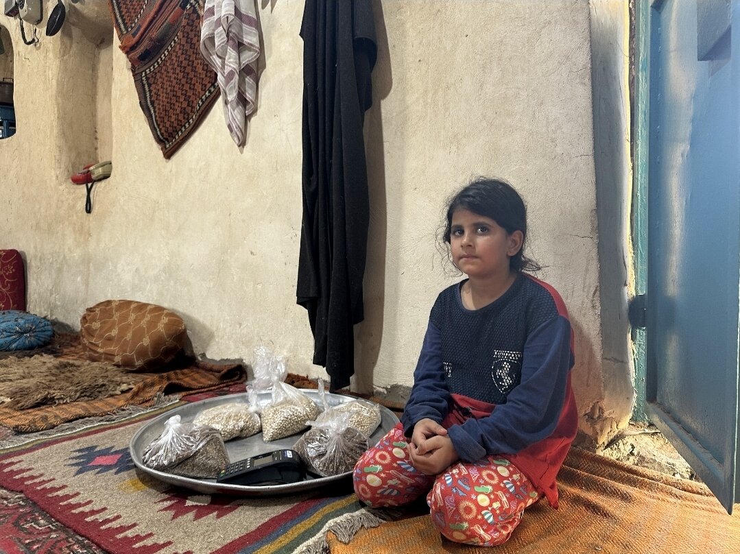 عَلوه؛ گذر از سایه نخل تا روشنای جهانگردی