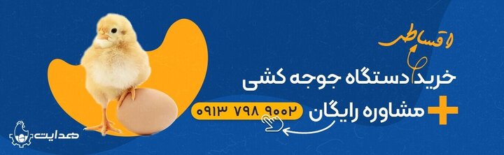 چطور با خرید دستگاه جوجه کشی هدایت، کسب‌وکاری سودآور در خانه راه‌اندازی کنیم؟