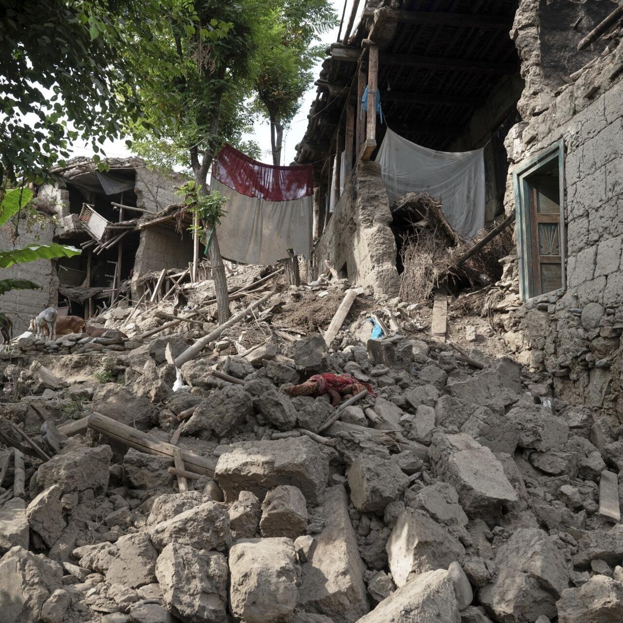 زلزله ۶.۳ ریشتری افغانستان؛ هفت کشته و ۱۵۰ زخمی