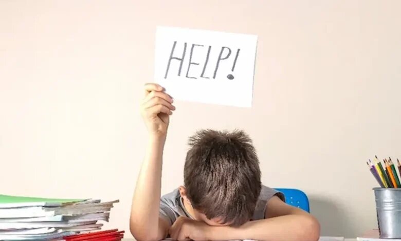 موفقیت تحصیلی تا اشتغالپذیری؛ مدرسه چگونه آینده دانشآموزان را رقم میزند؟