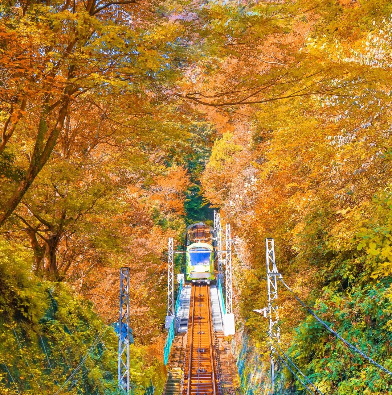 سفر به قلب طبیعت ژاپن با ریل رنگی پاییز
