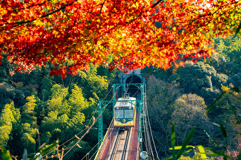 سفر به قلب طبیعت ژاپن با ریل رنگی پاییز
