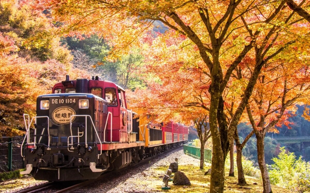 سفر به قلب طبیعت ژاپن با ریل رنگی پاییز