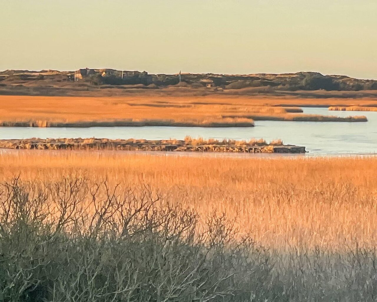 پشت چهره سبز اروپا؛ آلمان چگونه به رهبر عقب‌گرد اقلیمی بدل می‌شود؟