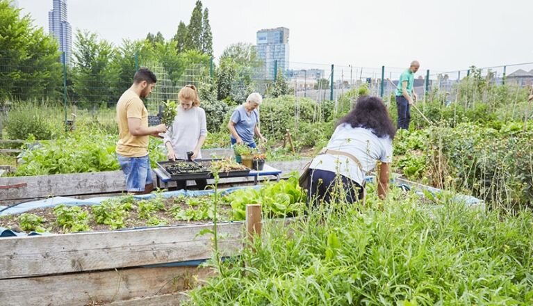 توسعه از محله آغاز میشود؛ روایت چهار شهر از اقتصاد سبز محلی