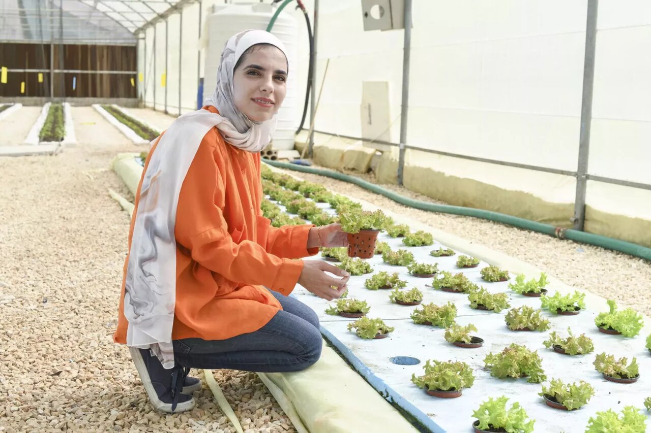 توسعه از محله آغاز میشود؛ روایت چهار شهر از اقتصاد سبز محلی