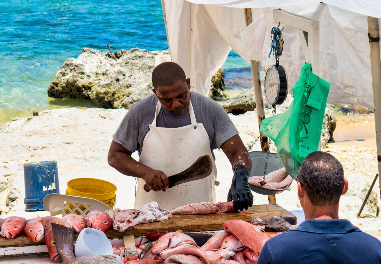 پایینترین نرخ مالیات بر درآمد در کدام کشورهاست؟