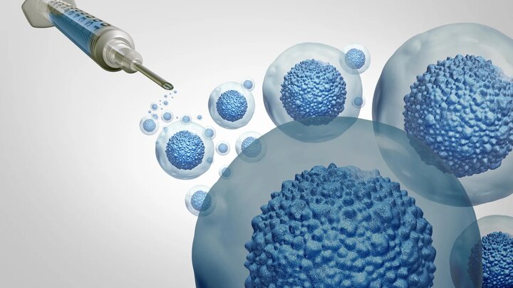 استنفورد پیوند سلول‌های بنیادی را بدون شیمی‌درمانی ایمن‌تر کرد