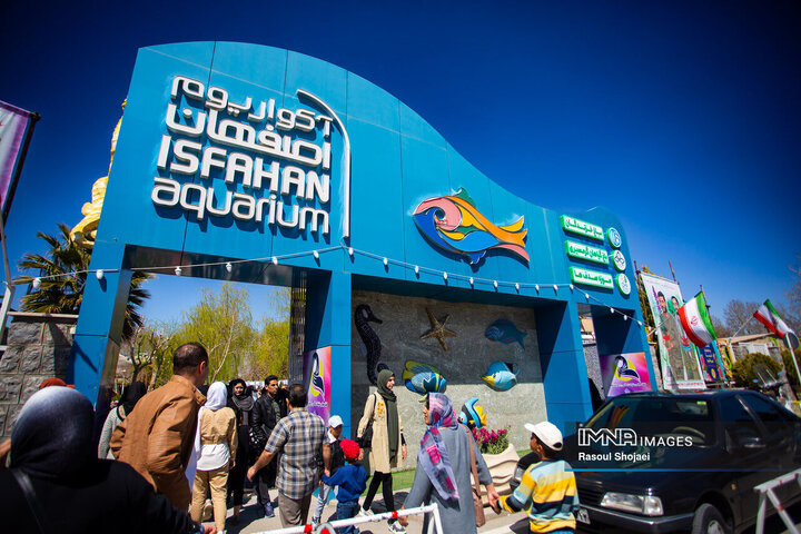 آکواریوم اصفهان؛ دنیای شگفت‌انگیز زیر آب