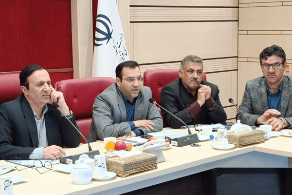 اجرای طرح «هم‌آفرینی مهارتی» و تشکیل «کنسرسیوم مهارت» در استان‌ها