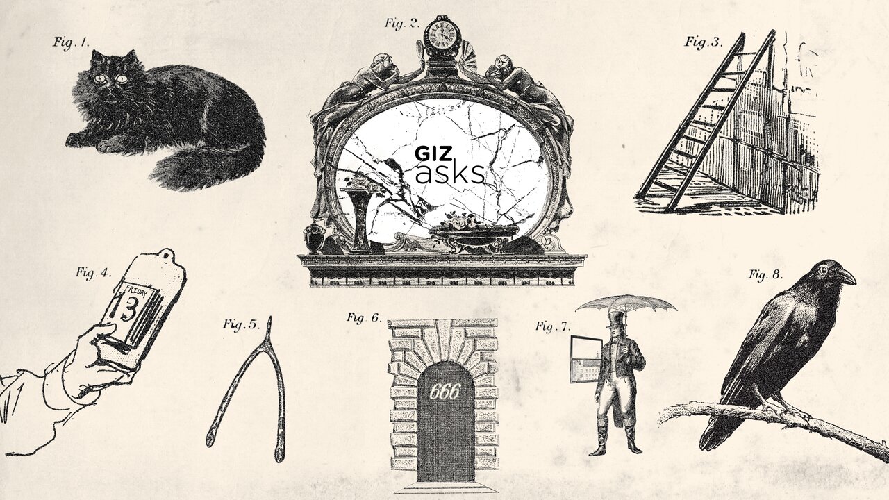 وقتی سایه خرافه بر سر حیوانات سنگینی می‌کند