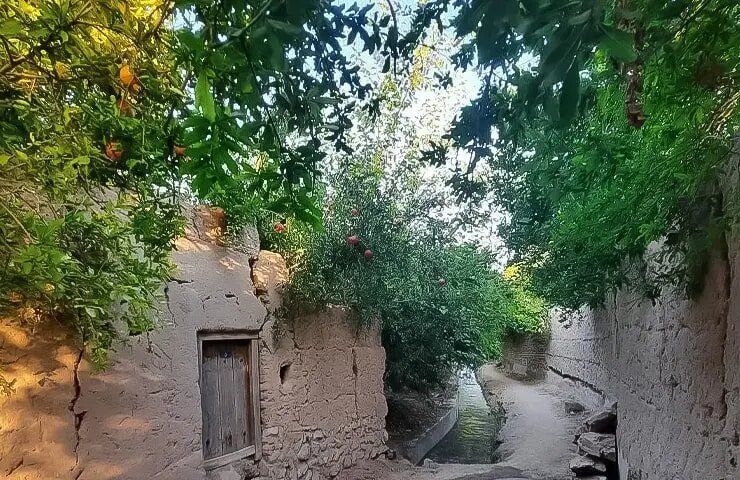 شهری با ریشههای کهن در دل کویر