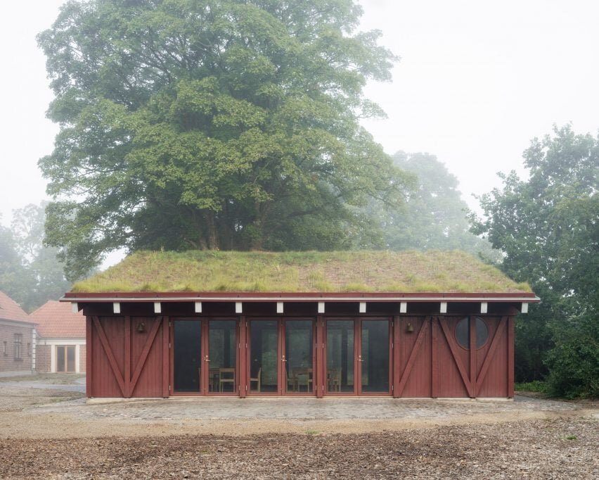 خانه‌هایی که می‌رویند