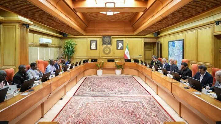 وزیر کشور: هیچ محدودیتی در توسعه روابط با کشورهای آفریقایی نداریم