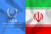 Iran Warns Anti-Tehran Draft at IAEA Board Would Harm Cooperation