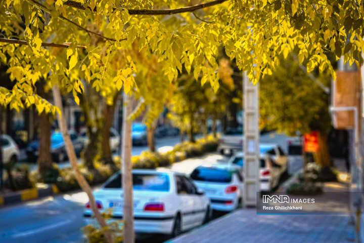 پاییز هزار رنگ باغ‌بهادران