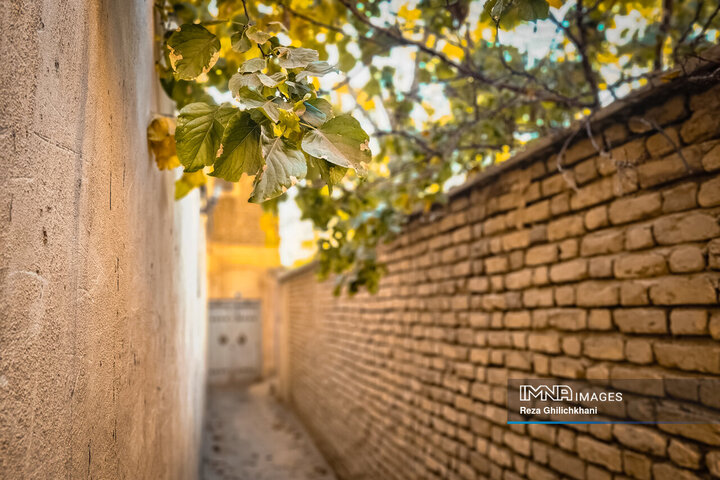 پاییز هزار رنگ باغ‌بهادران