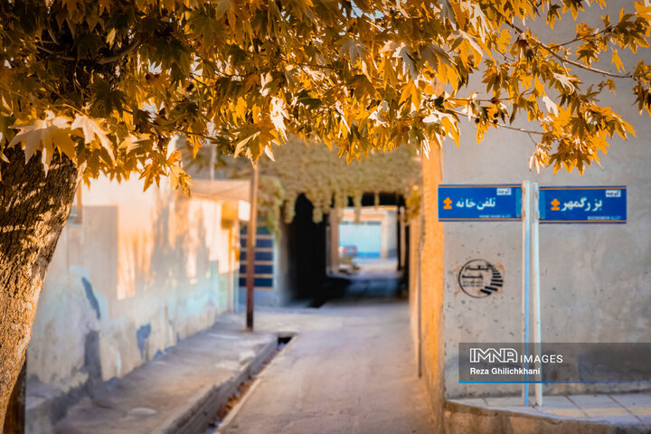 پاییز هزار رنگ باغ‌بهادران