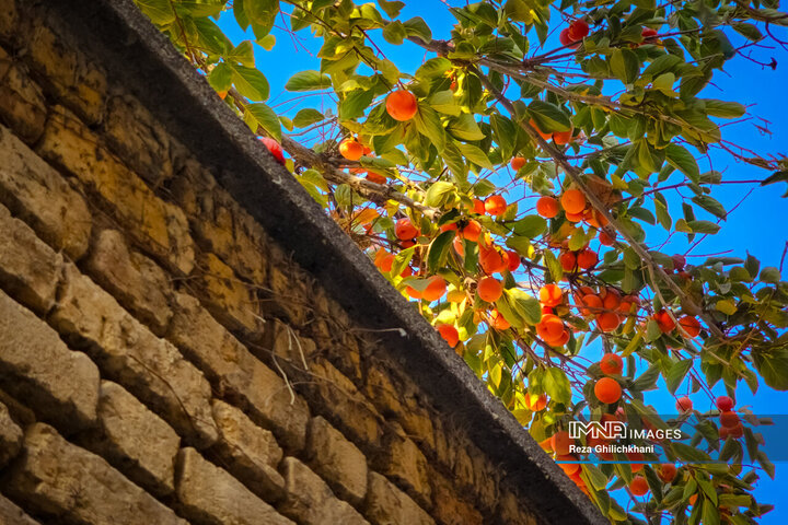 پاییز هزار رنگ باغ‌بهادران