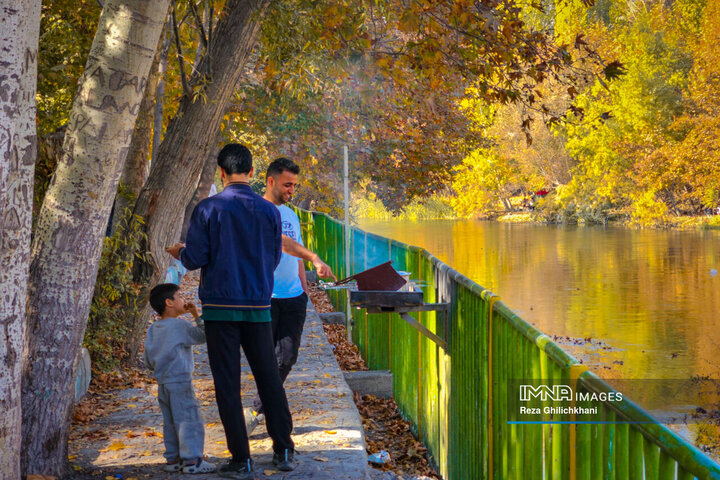 پاییز هزار رنگ باغ‌بهادران