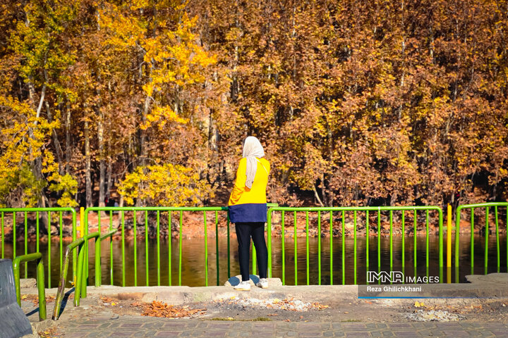 پاییز هزار رنگ باغ‌بهادران