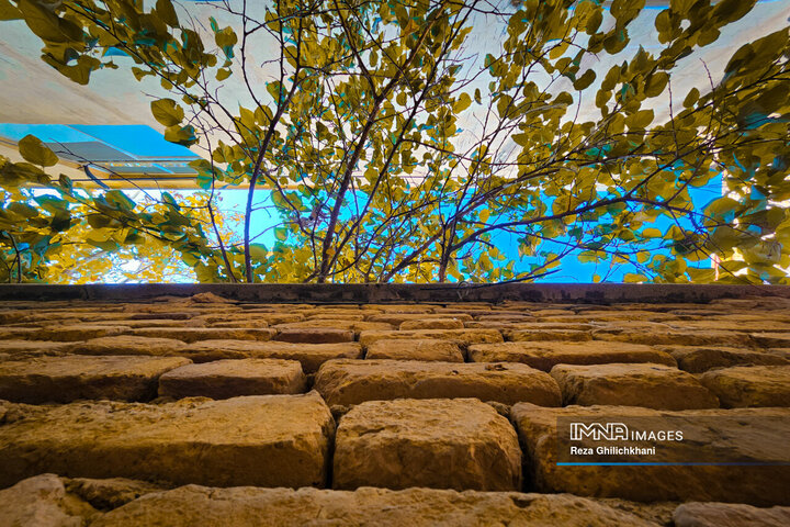 پاییز هزار رنگ باغ‌بهادران