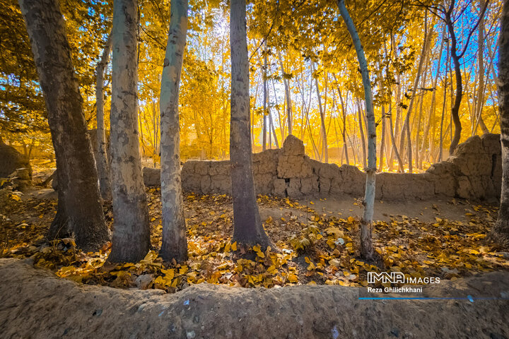 پاییز هزار رنگ باغ‌بهادران