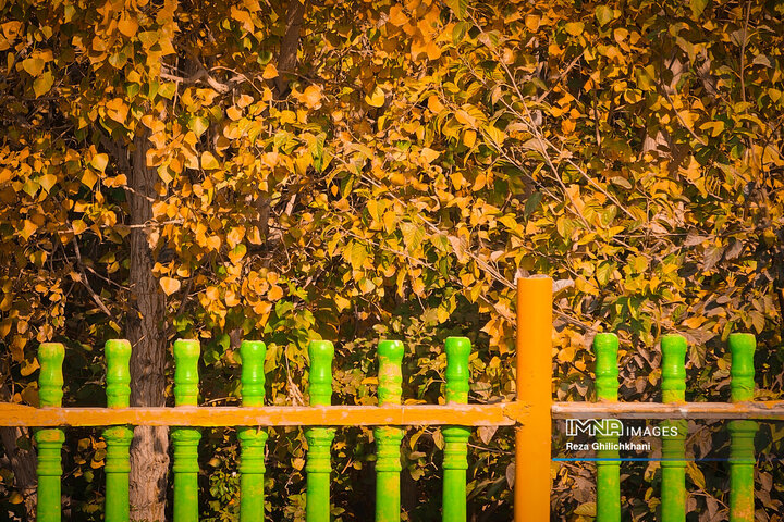 پاییز هزار رنگ باغ‌بهادران