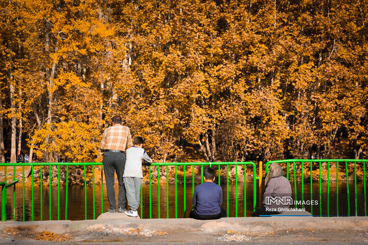 پاییز هزار رنگ باغ‌بهادران