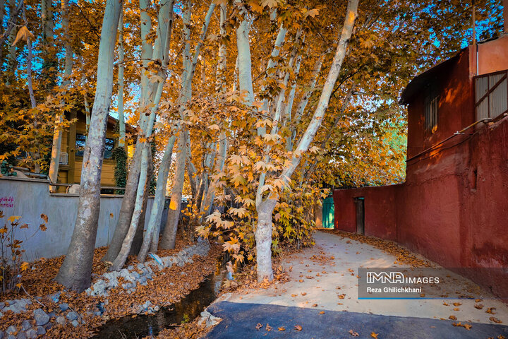 پاییز هزار رنگ باغ‌بهادران