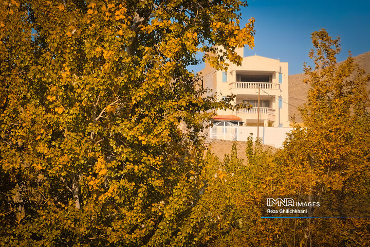 پاییز هزار رنگ باغ‌بهادران