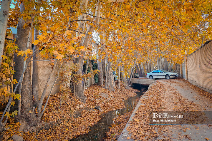 پاییز هزار رنگ باغ‌بهادران