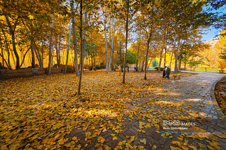 پاییز هزار رنگ باغ‌بهادران