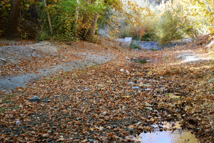 باران پاییزی