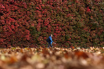 مناظر پاییزی از سراسر جهان