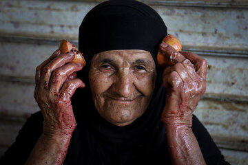 Ruby Valleys of Khuzestan; Orchard Heartbeat of Qaleh-Tol