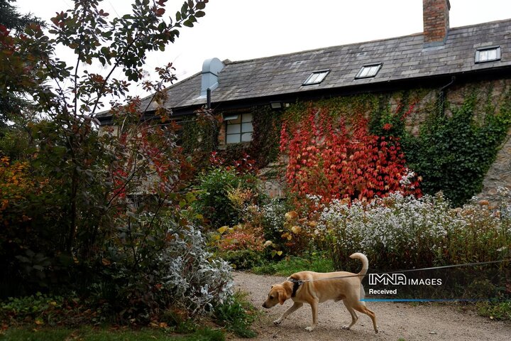 دوبلین، ایرلند