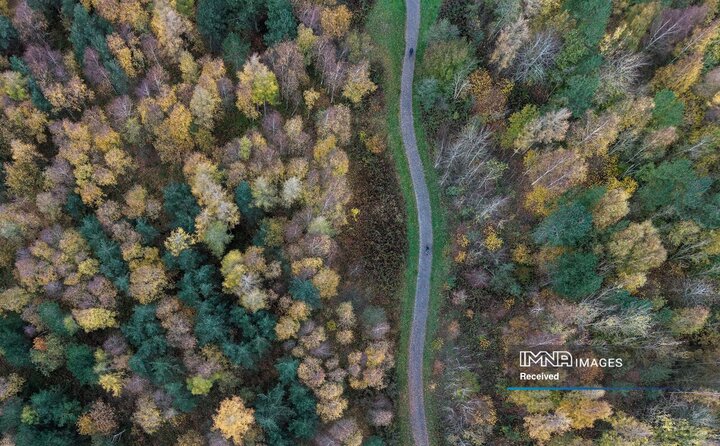 سنت هلنز، انگلیس