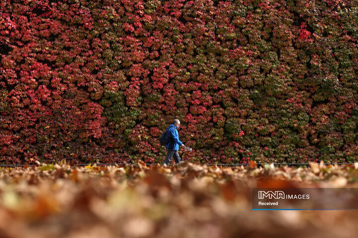 مناظر پاییزی از سراسر جهان